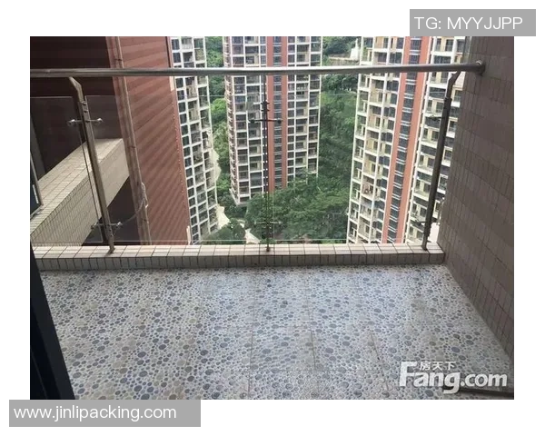 深圳佳兆与石家庄的城市发展对比与未来展望分析